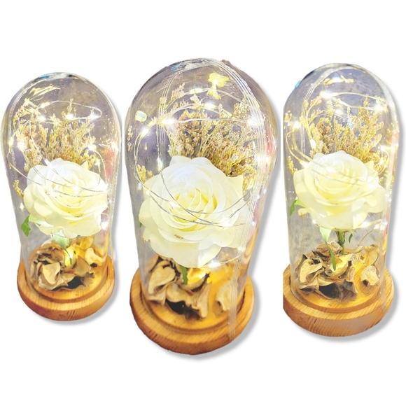 Silk Rose real preserved rose petals with Led Light String batteries Included - Picture 5 of 16